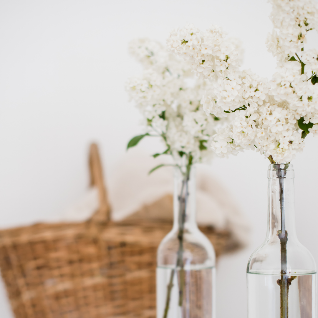 Libres de droit (2)