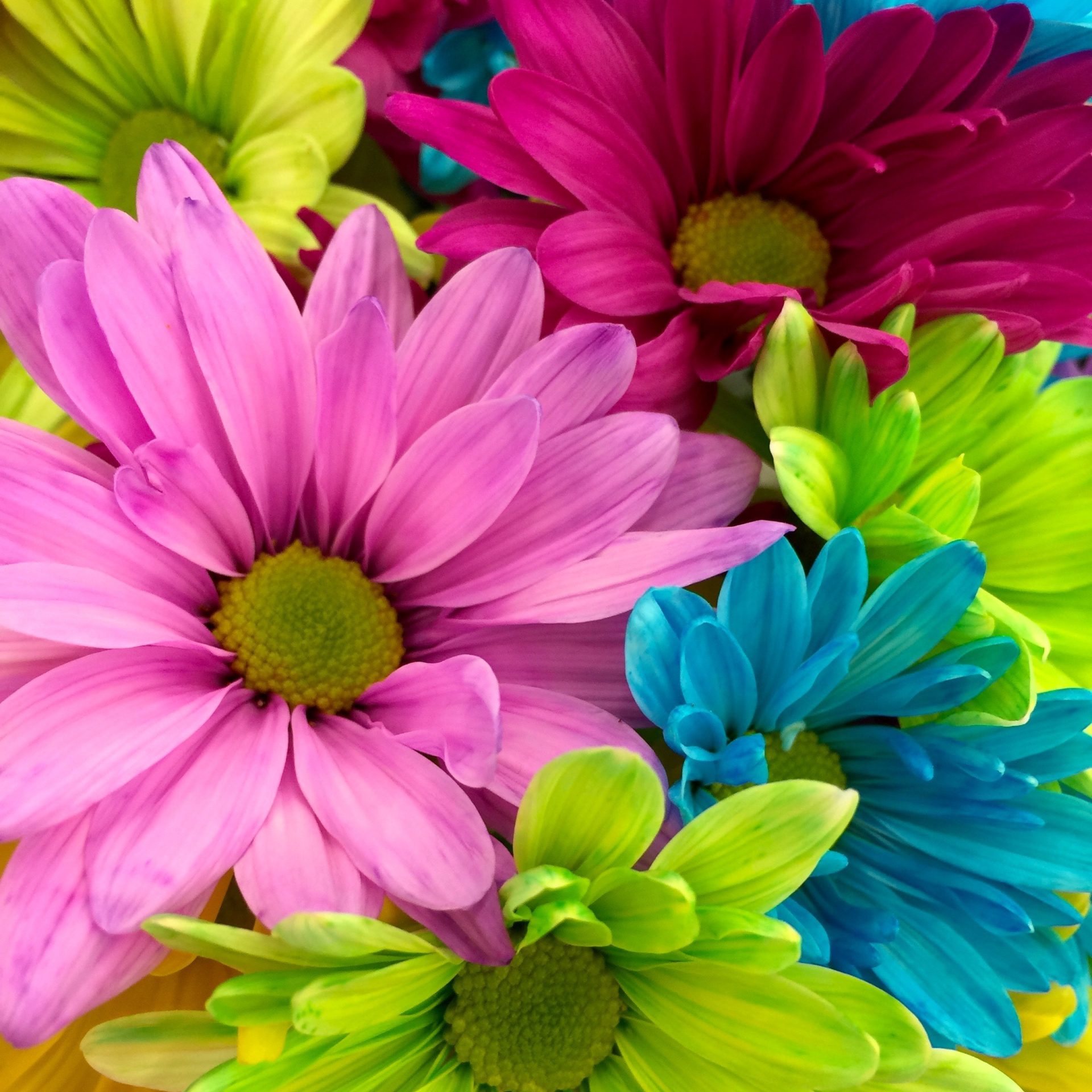Couleurs